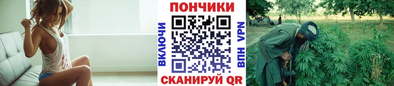 Где купить наркоту Богородицк Каннабис Меф мяу мяу Alpha PVP ГАШ