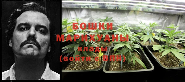 гидра Алексеевка