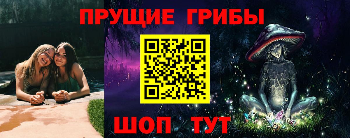 Богородицк  Псилоцибиновые грибы Psilocybine cubensis  Псилоцибиновые грибы Psilocybine cubensis  Вход с VPN 
