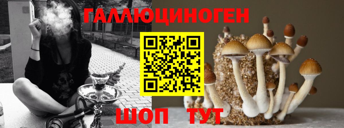 Псилоцибиновые грибы Magic Shrooms Богородицк